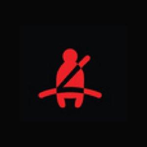 Seatbelt reminder symbols